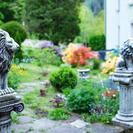 Dom Sw Elzbiety Hotel