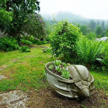 Hotel Dom Sw Elzbiety *