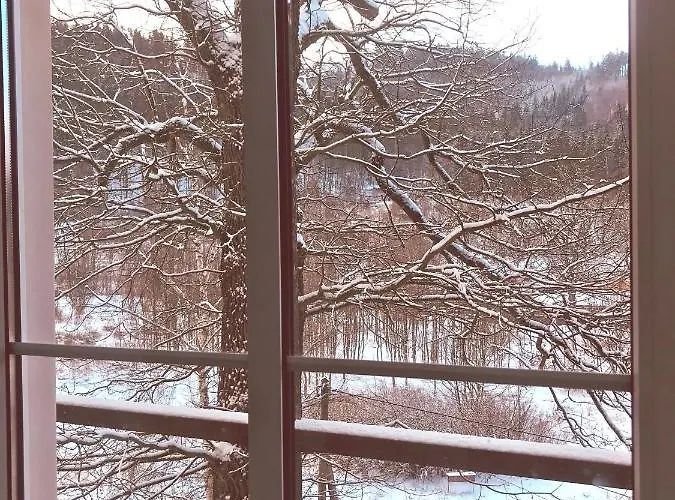 Dom Sw Elzbiety Hotel *