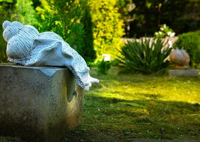 Dom Sw Elzbiety Sokolowsko